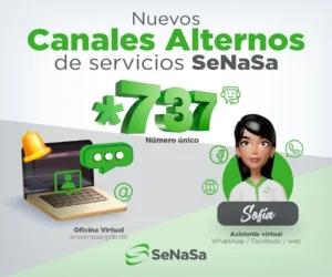 senasa-1-e1719448945749.webp