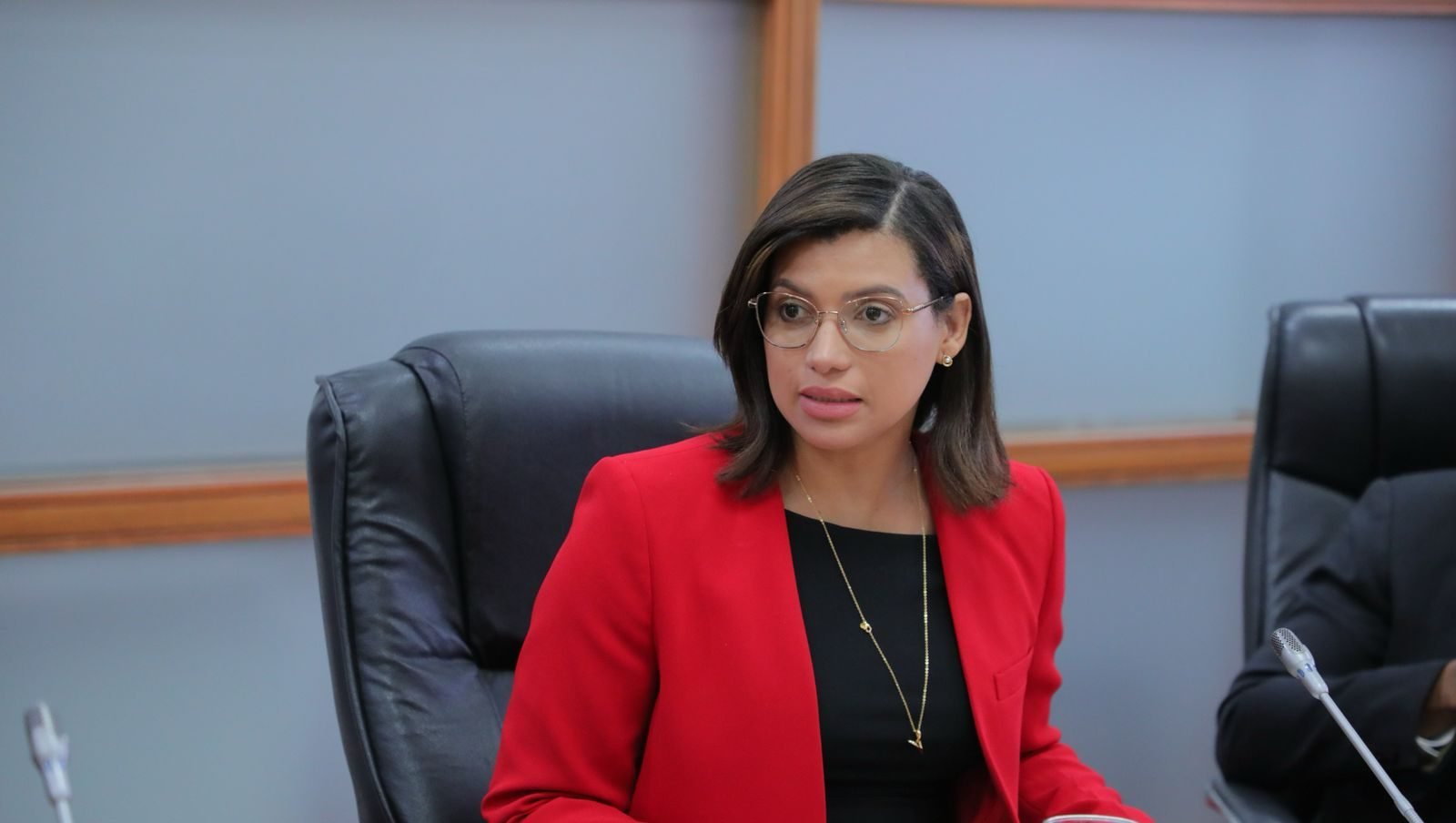 Kimberly Taveras solicita explicación sobre préstamo de 70 millones de dólares para el sector eléctrico