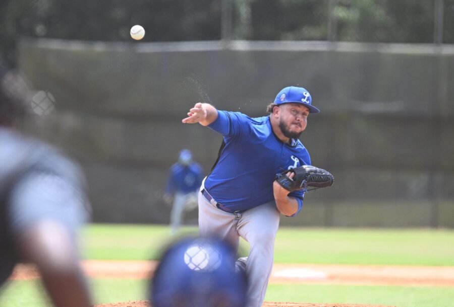 Los Tigres del Licey celebran partido interescuadras