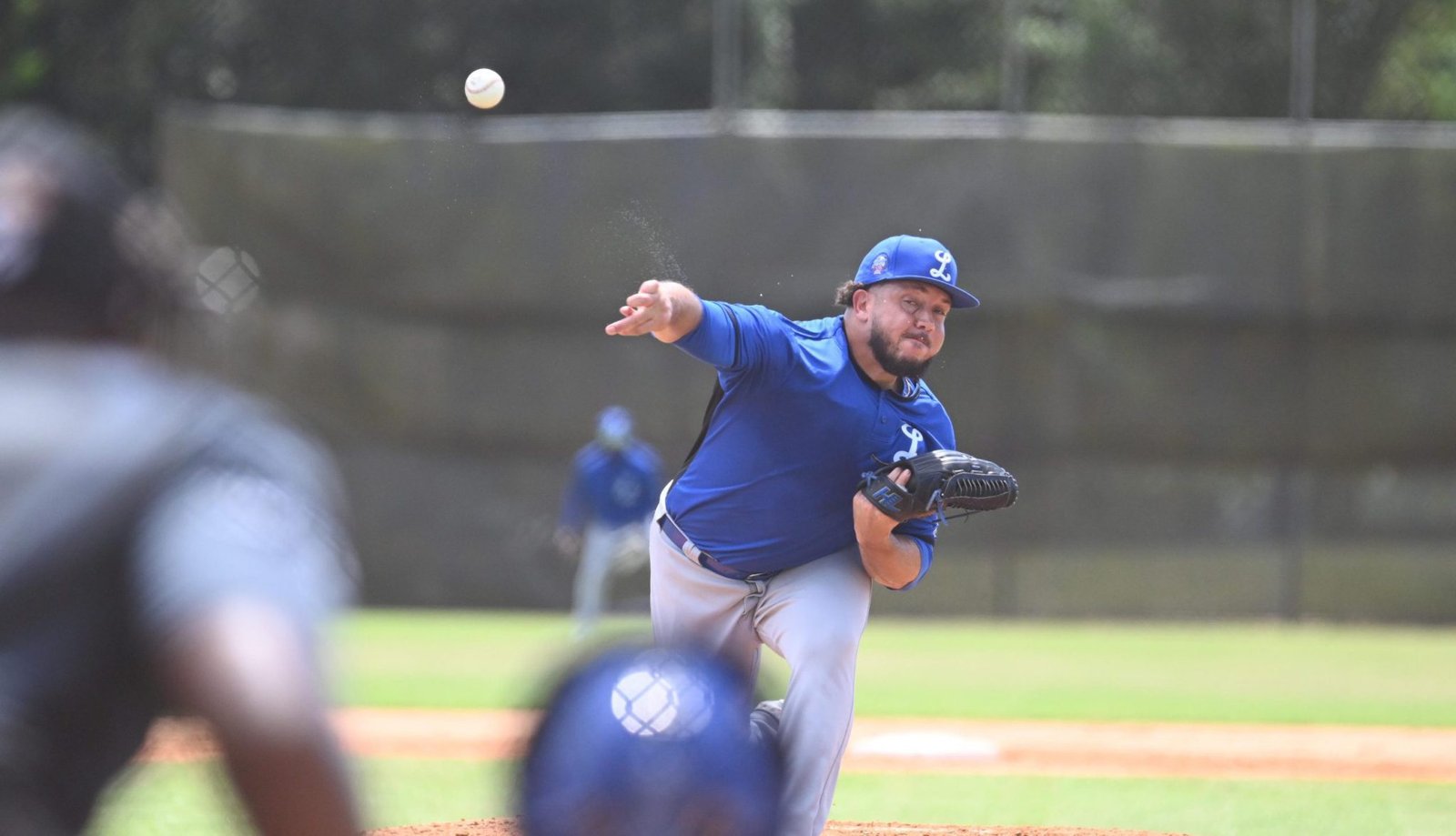 Los Tigres del Licey celebran partido interescuadras