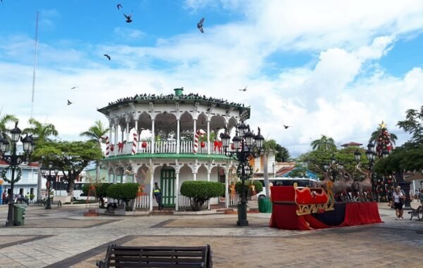 Hallan sin vida a tres ciudadanos haitianos en Puerto Plata
